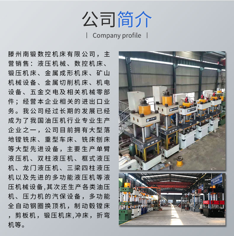 廠家直銷粉末成型油壓機315噸鹽磚機可定制壓力機